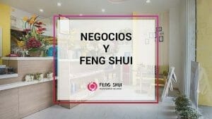 negocios y fs