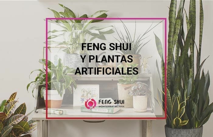 Plantas artificiales y flores secas según el Feng shui