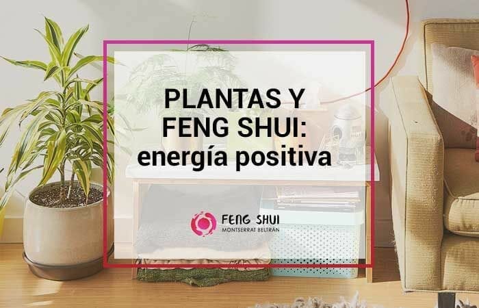 plantas y feng shui