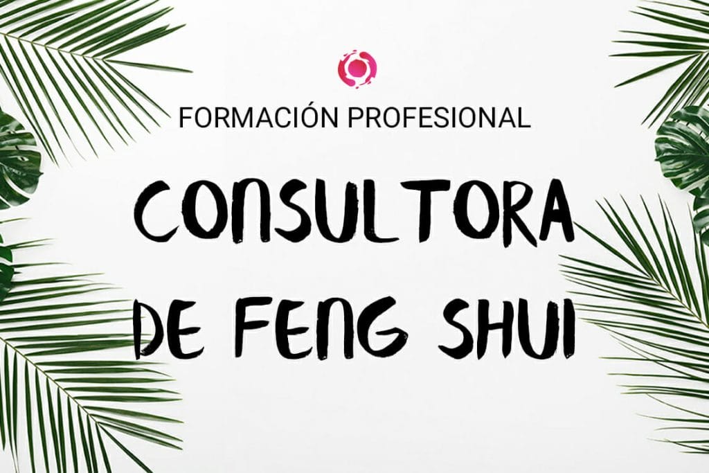 formación profesional consultora de feng shui
