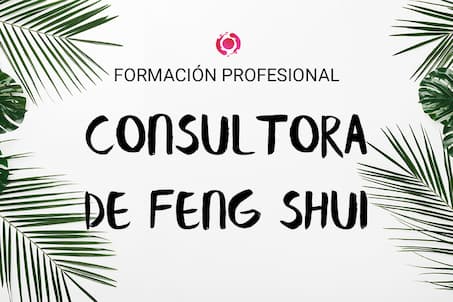 cursos-feng-shui-n3