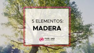 5 elementos: madera