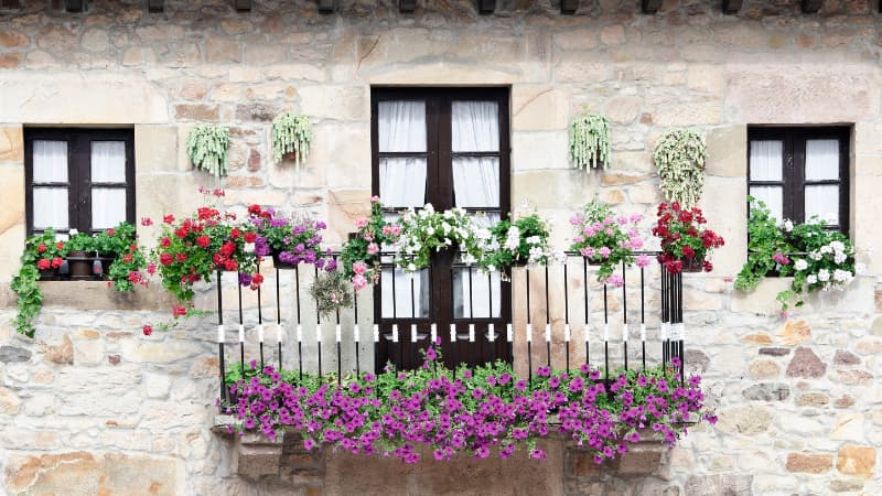 decora tu terraza con plantas