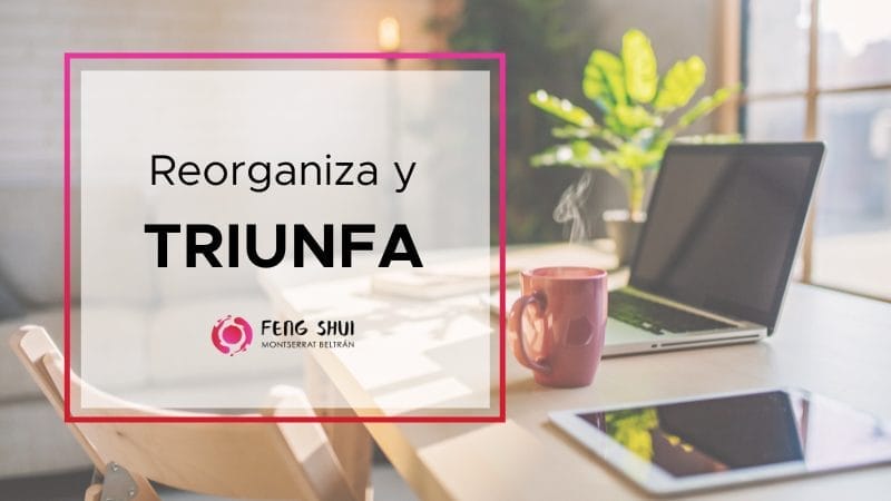 Reorganiza espacio trabajo