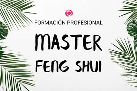 formacion profesional master feng shui
